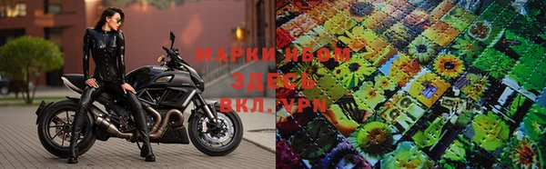 ПСИЛОЦИБИНОВЫЕ ГРИБЫ Абаза