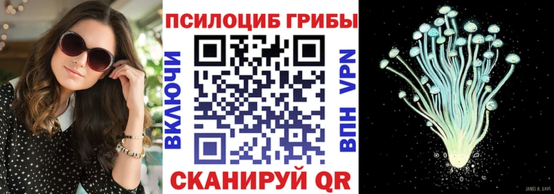 кракен онион  Болхов  Псилоцибиновые грибы прущие грибы 